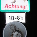toad, traffic sign, bucket