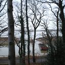 Elbe, Falkensteiner Ufer, forest, tree, excavator, fence, pontoon, barge