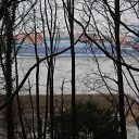 Elbe, forest, tree, container ship