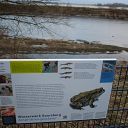 placard, Falkensteiner Ufer, water basin, fence, ice